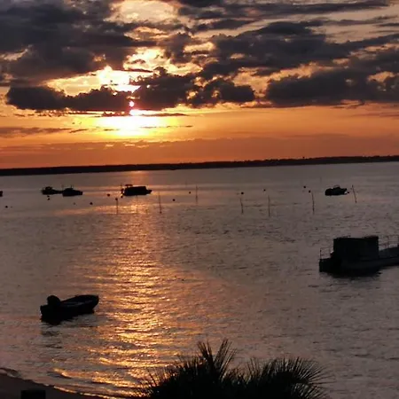 Entre Dune Et Les Jacquets Cap Ferret *