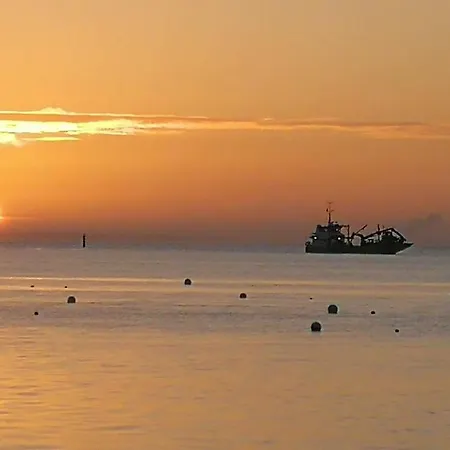 Entre Dune Et Les Jacquets Cap Ferret Lège-Cap-Ferret