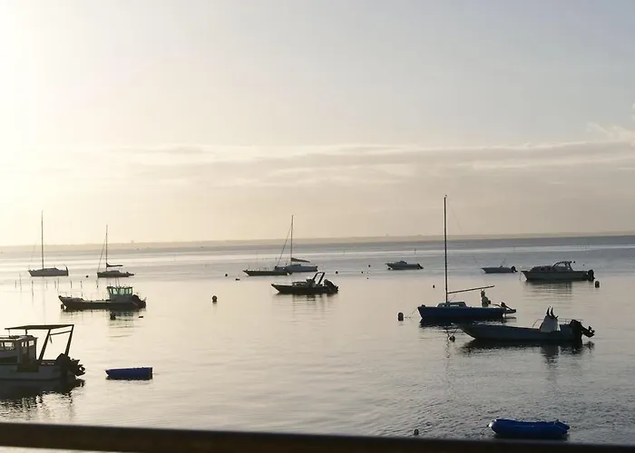 Entre Dune Et Les Jacquets Cap Ferret