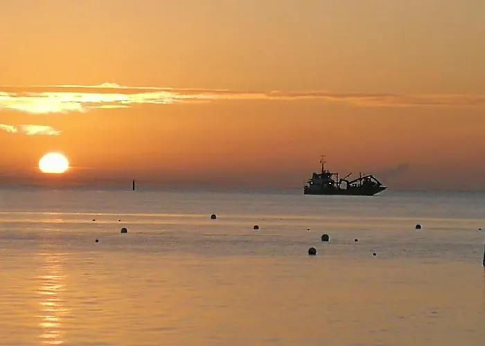 Entre Dune Et Les Jacquets Cap Ferret Lège-Cap-Ferret