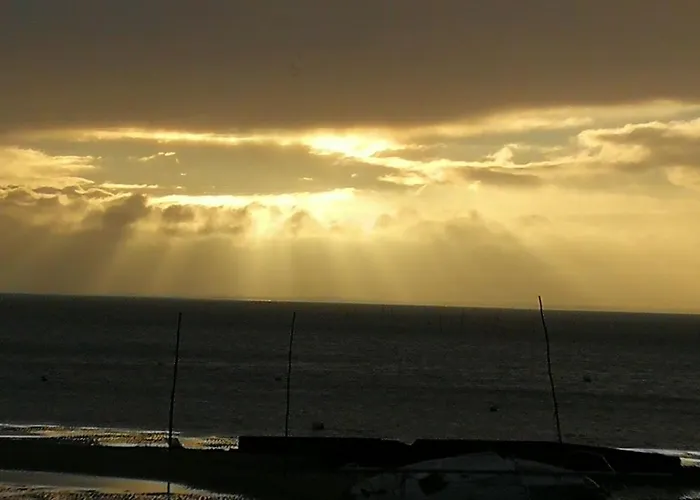 Entre Dune Et Les Jacquets Cap Ferret Apartament