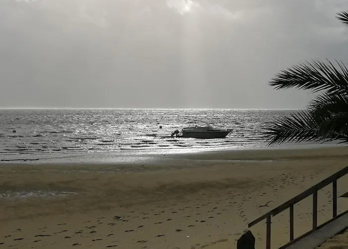 Entre Dune Et Les Jacquets Cap Ferret Apartament *